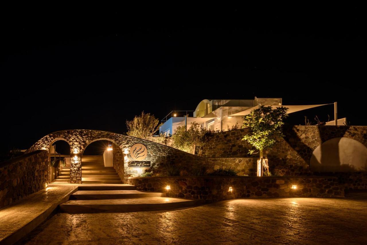 Soil Of Sun Luxury Villas Megalochori  Exterior photo