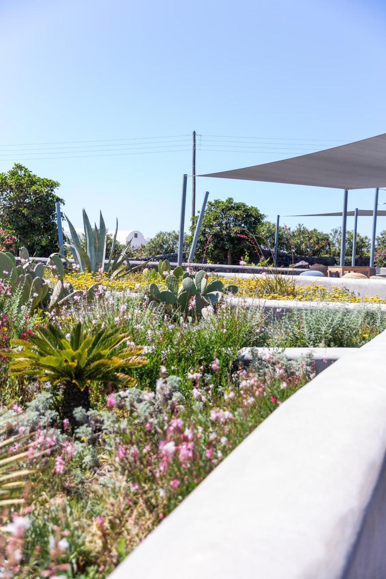 Soil Of Sun Luxury Villas Megalochori  Exterior photo